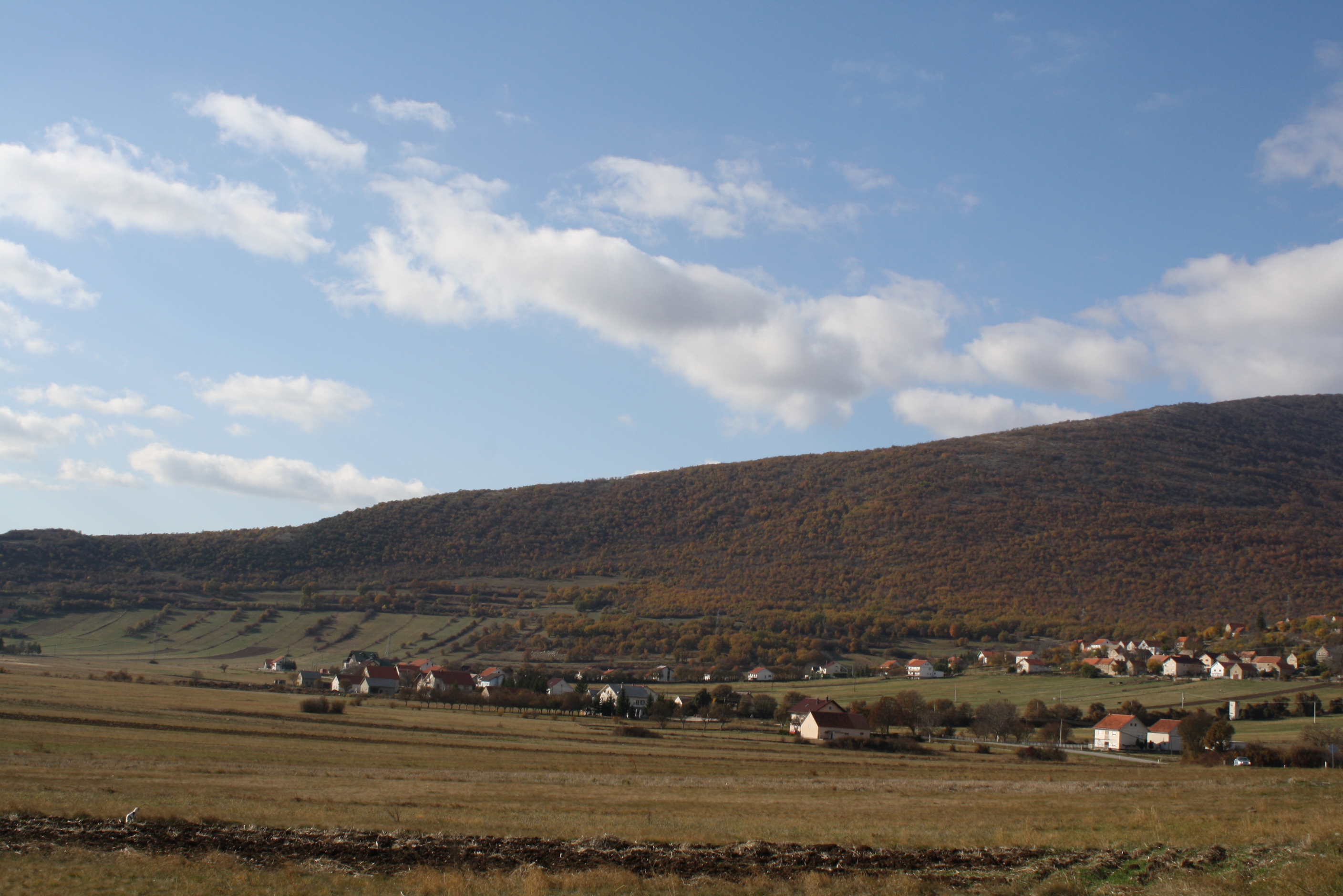 Prapovijesna gradina, željeznodobne grobnice, rimsko naselje, nekropola i pokretno naslijeđe u Vašarovinama, Priluka, arheološko područje